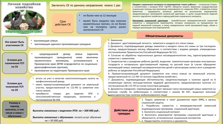 Бизнес план на ведение личного подсобного хозяйства по соц контракту